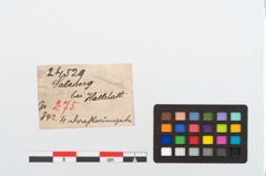 Etikett zu Bronzeringbündel (NHMW-PRAE-024529)